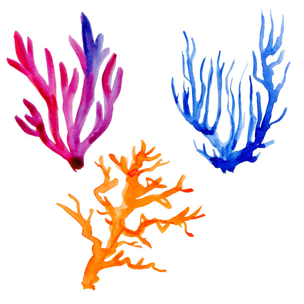 Récifs coralliens colorés
 - Photo, image