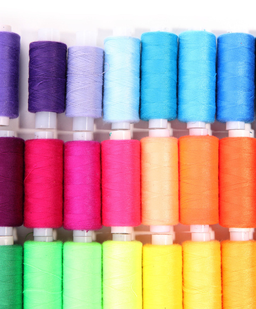 Multicolor sewing threads isolated on white - Φωτογραφία, εικόνα