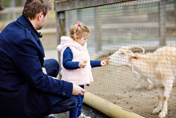Imádnivaló, aranyos kisbaba lány és fiatal apa kis kecskéket és bárányokat etetnek egy gyerekfarmon. Gyönyörű kisbaba simogatja az állatokat az állatkertben. férfi és lánya együtt a családi hétvégi vakációkon. - Fotó, kép