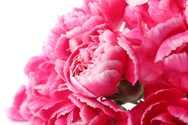 Beautiful carnation flowers on white background, closeup - Photo, Image