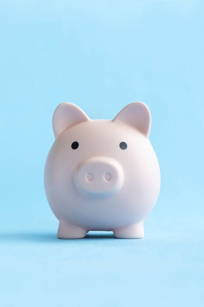 piggy bank on a blue background. concept of preserving and saving money. muzzle, front view, vertical photo - Photo, Image