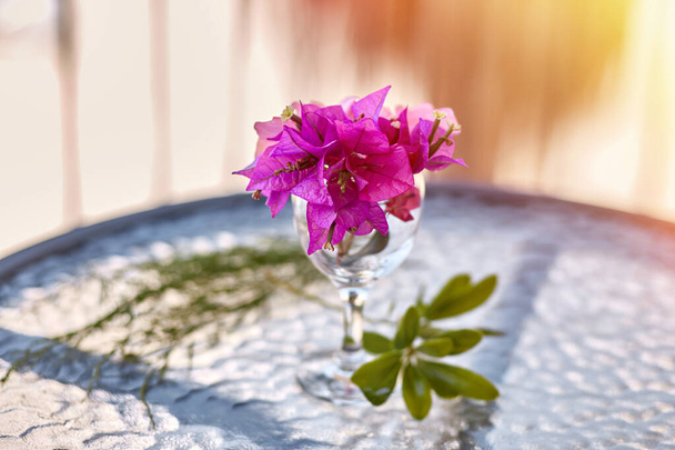 Yaz gerçeküstü çiçekler yaratıcı moda konsepti. Cam masadaki bir bardak şarabın içinde pembe Bougainvillea çiçekleri. Yaz tatili kavramı. - Fotoğraf, Görsel