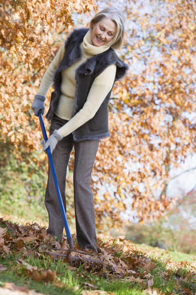 Senior woman tidying autumn leaves in garden - Foto, immagini