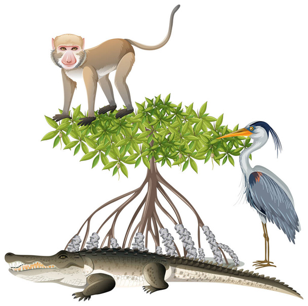 Małpa na drzewie namorzynowym z wielką czapli niebieski w stylu kreskówki na białym tle ilustracji - Wektor, obraz