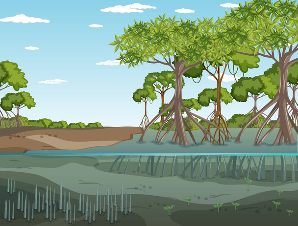 昼間のイラストでのマングローブ林の風景 - ベクター画像
