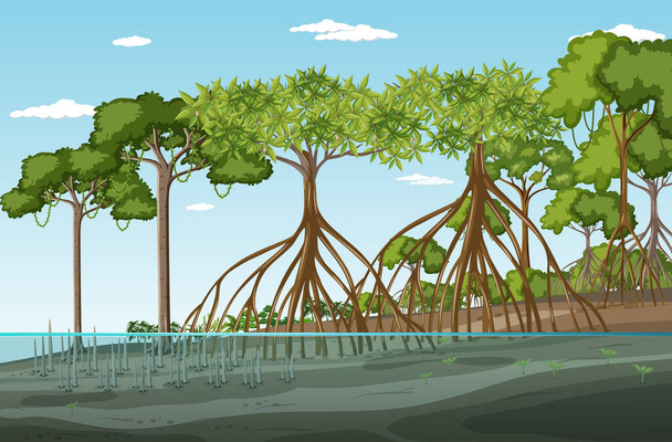 Mangrove paysage forestier scène à l'illustration de jour - Vecteur, image