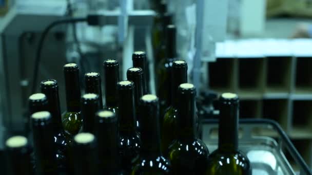 trasportatore con bottiglie di vino presso la fabbrica di vino produzione di vino bianco, lavaggio e riempimento delle bottiglie - Filmati, video