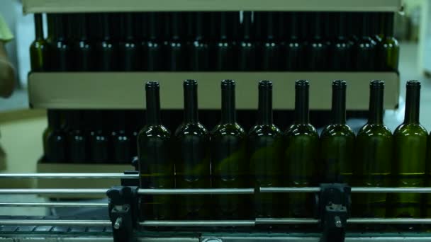 конвейер с винными бутылками на винном заводе производство белого вина, мытье и наполнение бутылок - Кадры, видео