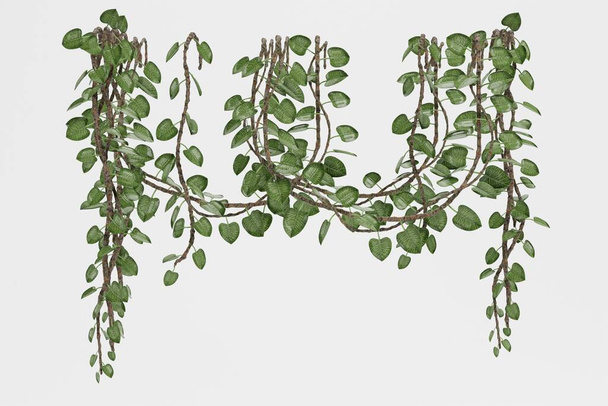 Rendre 3D réaliste des plantes de Liana - Photo, image