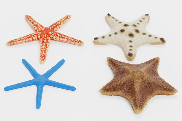 Realistic 3D Render of Starfish Collection - Photo, Image