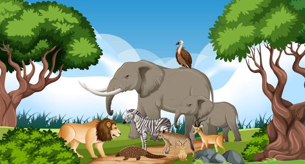 Gruppo di animali selvatici africani nella scena forestale illustrazione - Vettoriali, immagini