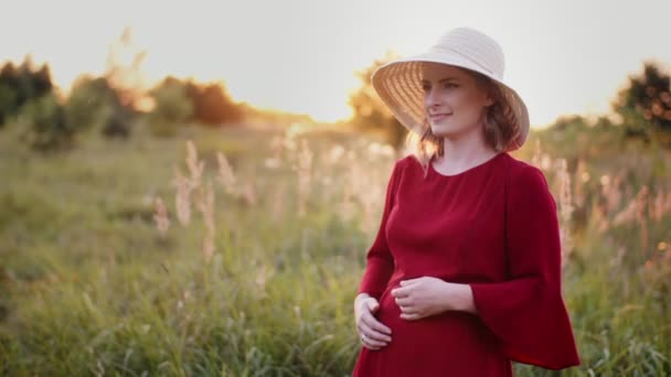 妊娠中の女性の肖像日没の草原を歩く - 映像、動画