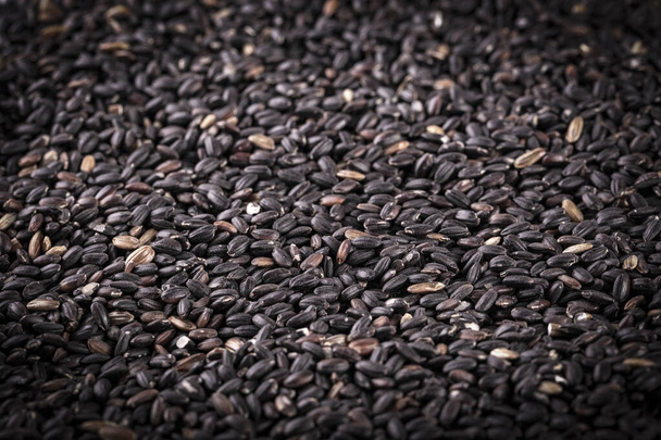 raw black rice as background.. Selective focus - Photo, Image