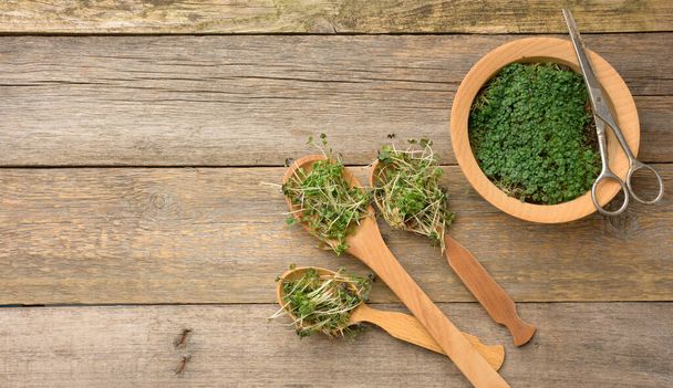 green sprouts of chia, arugula and mustard in a wooden spoon on a gray background from old gray boards, top view. Useful supplement for food containing vitamins C, E and K, copy space - Photo, Image