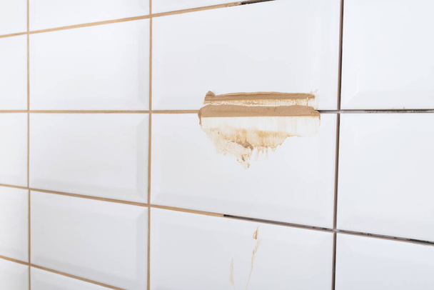 close-up of light brown tile grout, to seal the cracks from moisture and dust - Foto, imagen