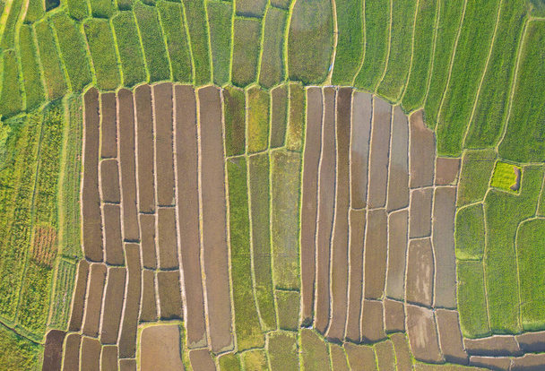 Letecký pohled na rýžové terasy s odleskem vody, zelená zemědělská pole na venkově, horské kopce údolí, Pabongpieng, Chiang Mai, Thajsko. Přírodní krajina. Sklizeň plodin. - Fotografie, Obrázek
