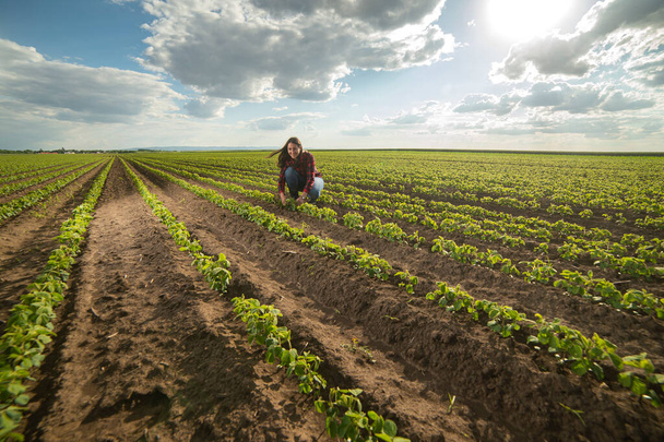 Tavasszal egy fiatal női gazda a szójabab mezőn.  - Fotó, kép