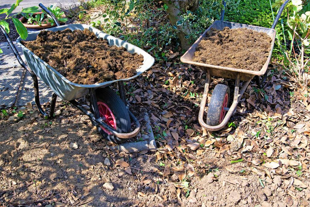 Home grown compost comes in very 'handy' to help fill a large hole, after the removal of a bay tree that outgrew the space available. - Foto, Bild