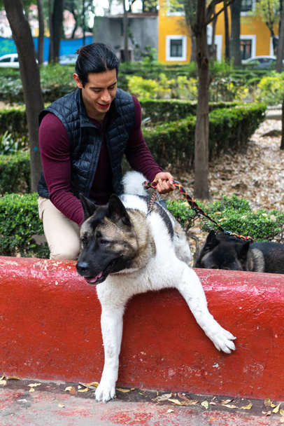 Young muscular hispanic man holding and petting his dogs in the park - 写真・画像