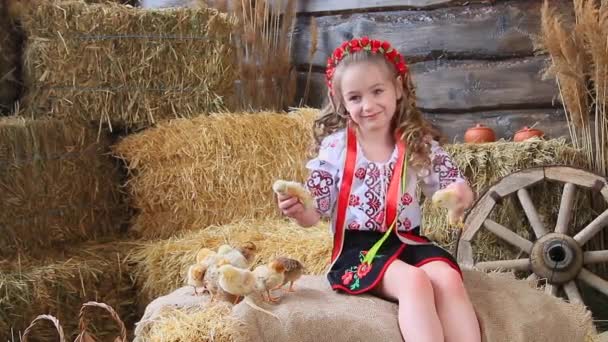 Біла дівчина в українському народному костюмі бавиться з курчатами в тюках соломи. Щасливого Великодня - Кадри, відео
