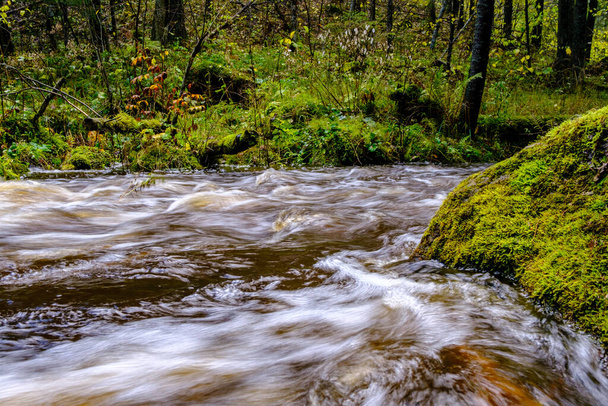 calm forest smal lriver with small waterfall from natural rocks. water flowing around rocks and trees - Photo, Image