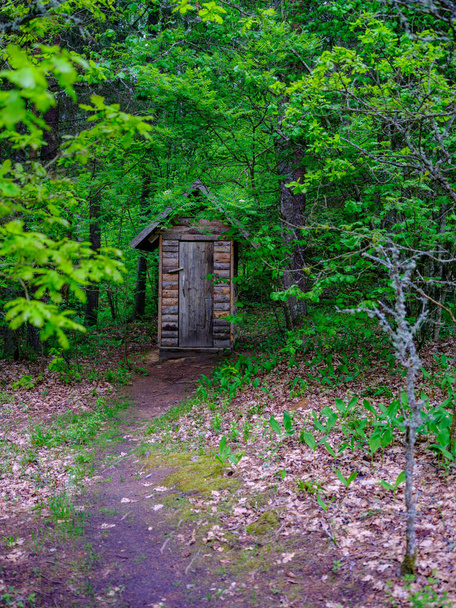 small wooden toilet house in the forest woods. recreation - Photo, Image