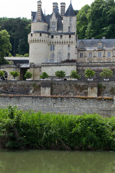 Замок Ригни-Уссе, известный как Замок Спящей Красавицы и построенный в одиннадцатом веке. Долина Луары, Франция - Фото, изображение