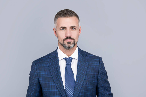 mature businessperson portrait in formalwear. business success. successful man in businesslike suit. male formal fashion. professional unshaven ceo. boss with grizzled hair. confident businessman. - Photo, image