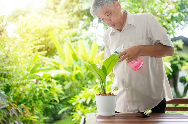 Un anciano asiático feliz y sonriente está plantando para un hobby después de jubilarse en un hogar. Concepto de un estilo de vida feliz y buena salud para las personas mayores. - Foto, Imagen