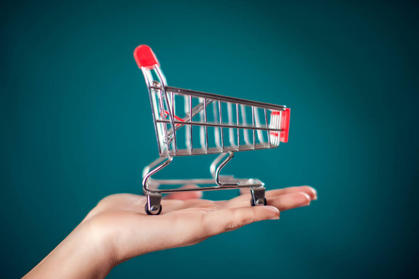 Woman's hand holding empty shopping trolley in hand. Commercial concept - Foto, imagen