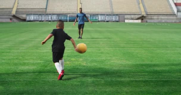 Vielseitiger Trainer und Kind kicken Ball auf dem Feld - Filmmaterial, Video