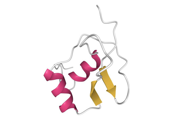 SAP30 proteinin yapısı, farklı renklerde ikincil yapı elemanları olan 3D karikatür modeli, beyaz arkaplan - Fotoğraf, Görsel