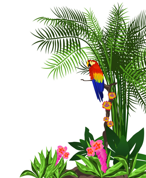 Háttér szemlélteti a trópusi erdővel, virágokkal és egy papagáj - Vektor, kép