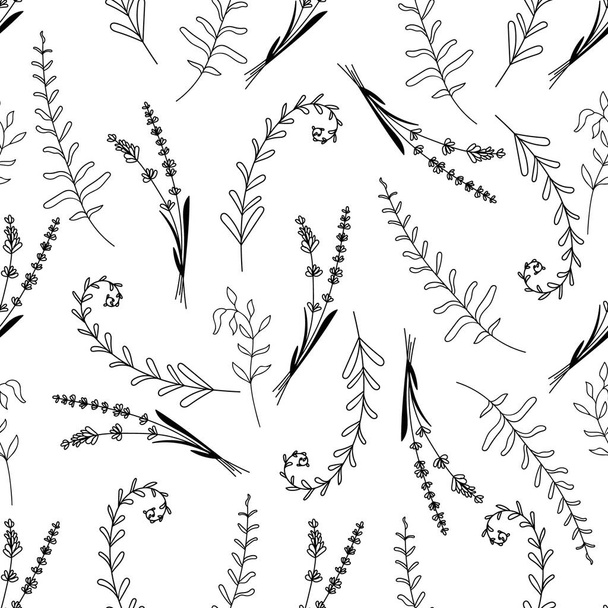 Doodle stílus vadvirágok és gyógynövények. Kézzel rajzolt elemek. Gyógynövény zökkenőmentes minta elszigetelt fehér háttér. - Vektor, kép
