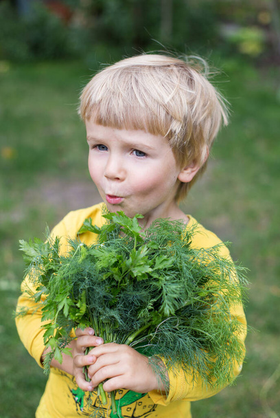 aranyos kisgyerek fényes sárga ruhák gazdaság egy nagy friss zöld csokor petrezselyem és kapor összegyűjtött kertben érzelmek meglepetés és öröm az arcán Egészséges vitamin szerves zöldek. - Fotó, kép