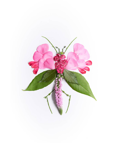 Groen en roze insect gemaakt van natuurlijke materialen - Foto, afbeelding