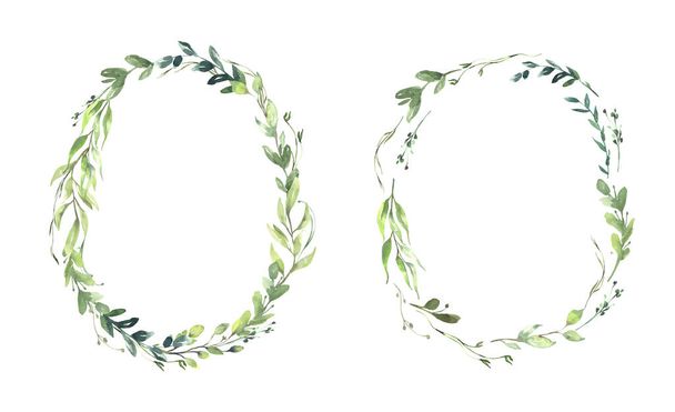 Акварельний квітковий ілюстраційний набір - зелений лист Колекція рам для весілля стаціонарні, вітання, шпалери, мода, фон. Евкаліпт, оливкове, зелене листя і т. д. Високоякісна ілюстрація
 - Фото, зображення