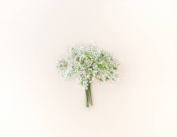 Boeket van witte wilde bloemen op een beige achtergrond. - Foto, afbeelding