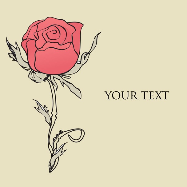 Vintage background with hand drawn roses - Vector, Image