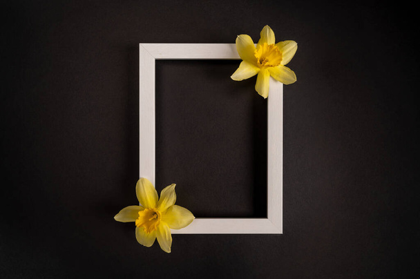 Krásné žluté narcisy květiny a snímek na černém pozadí. Horní pohled, kopírovací prostor. - Fotografie, Obrázek