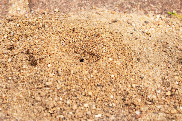 Keltainen hiekka muurahainen päällystys laatat lähikuva - Valokuva, kuva