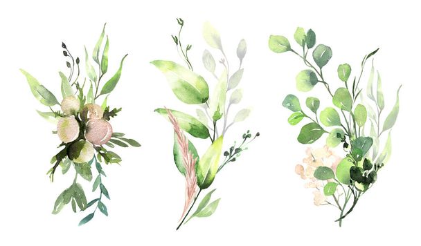Conjunto de ilustración floral de acuarela: colección de ramas de hojas de eucalipto verde, flores rosadas para invitación a la boda, tarjetas de felicitación, fondos de pantalla, fondo. Eucalipto, hojas verdes. - Foto, Imagen