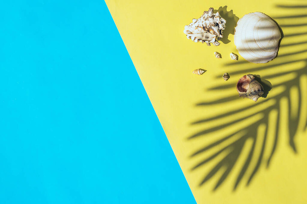 Seashells and the shadow of a palm leaf on a yellow and blue background.Summer and travel concept.Copy space,flat lay,top view. - Photo, image