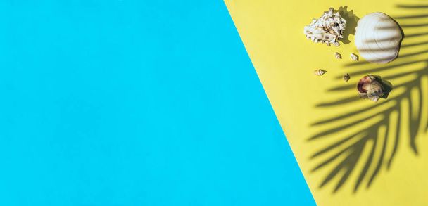 Seashells and the shadow of a palm leaf on a yellow and blue background.Summer and travel concept.Copy space,flat lay,top view. - Foto, Bild