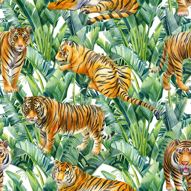 Tigre selvagem sobre um fundo tropical. Ilustração em aquarela, Padrão sem costura com animais - Foto, Imagem