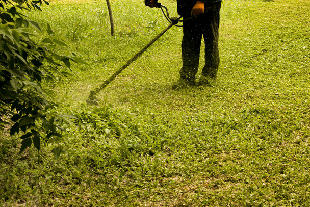Sommerarbeit im Park. Der Gärtner mäht das Gras. Ein Mann benutzt einen Rasentrimmer ohne Schutzhülle. - Foto, Bild