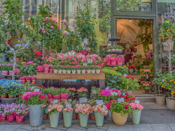 Vienne, Autriche - 23 mai 2017 : Fleuriste dans une rue Stephansplatz à Vienne - Photo, image