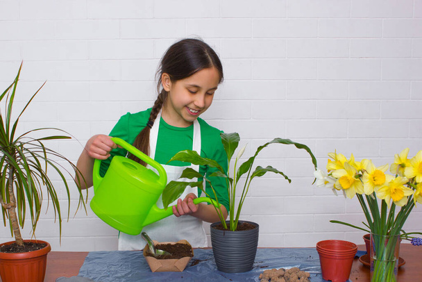 Egy lány, sötét hajjal, zöld pólóban és kötényben, otthon öntözi a virágokat egy öntözőkannából. - Fotó, kép