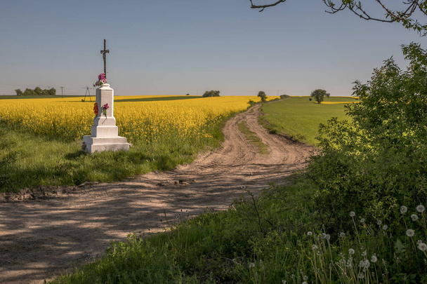 Поле польского рапса с извилистой дорогой весной и придорожным святилищем - Фото, изображение