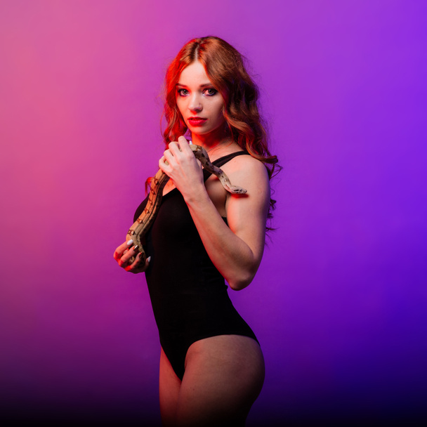 Young woman in a black bikini posing with python against abstract studio background - 写真・画像